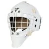 Victory V4 Senior Custom Goalie Mask